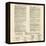 Constitution Document-null-Framed Stretched Canvas