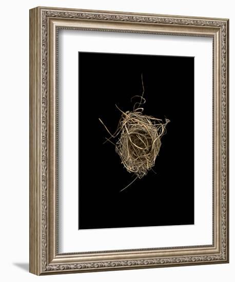 Construction 1: Birds Nest from Above-Doris Mitsch-Framed Photographic Print