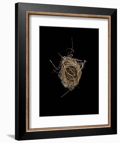 Construction 1: Birds Nest from Above-Doris Mitsch-Framed Photographic Print