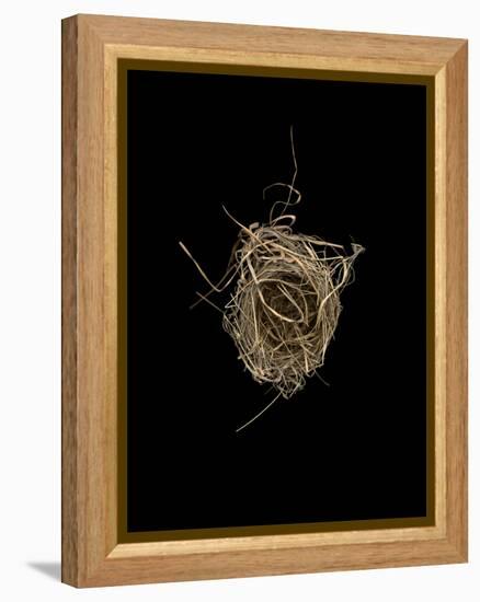 Construction 1: Birds Nest from Above-Doris Mitsch-Framed Premier Image Canvas