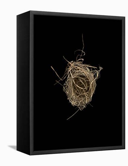 Construction 1: Birds Nest from Above-Doris Mitsch-Framed Premier Image Canvas