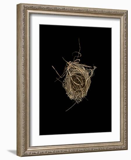 Construction 1: Birds Nest from Above-Doris Mitsch-Framed Photographic Print