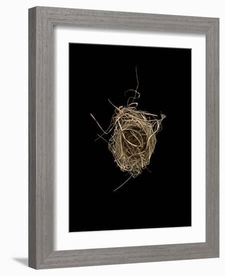 Construction 1: Birds Nest from Above-Doris Mitsch-Framed Photographic Print