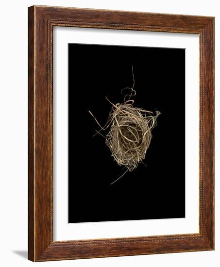 Construction 1: Birds Nest from Above-Doris Mitsch-Framed Photographic Print