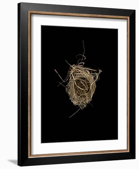 Construction 1: Birds Nest from Above-Doris Mitsch-Framed Photographic Print