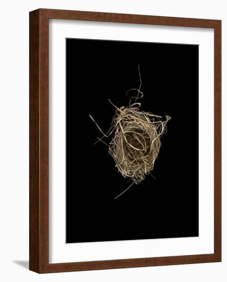 Construction 1: Birds Nest from Above-Doris Mitsch-Framed Photographic Print