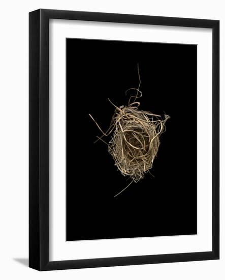 Construction 1: Birds Nest from Above-Doris Mitsch-Framed Photographic Print