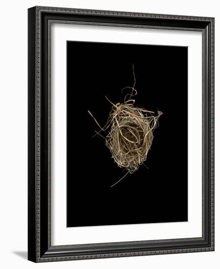 Construction 1: Birds Nest from Above-Doris Mitsch-Framed Photographic Print