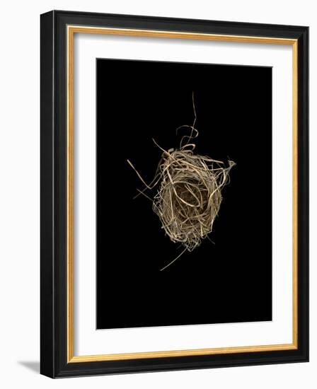 Construction 1: Birds Nest from Above-Doris Mitsch-Framed Photographic Print