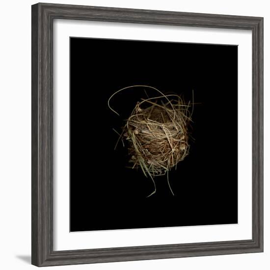 Construction 7: Birds Nest-Doris Mitsch-Framed Photographic Print