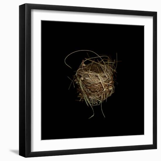 Construction 7: Birds Nest-Doris Mitsch-Framed Photographic Print