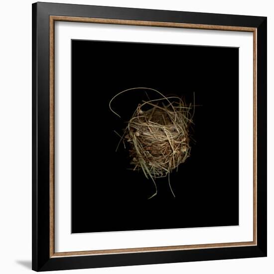 Construction 7: Birds Nest-Doris Mitsch-Framed Photographic Print