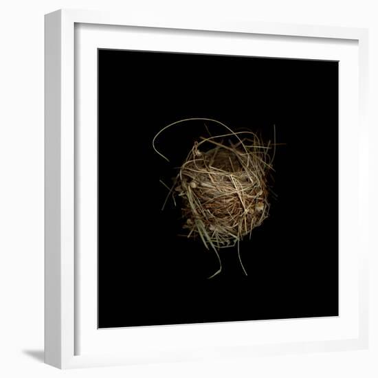 Construction 7: Birds Nest-Doris Mitsch-Framed Photographic Print