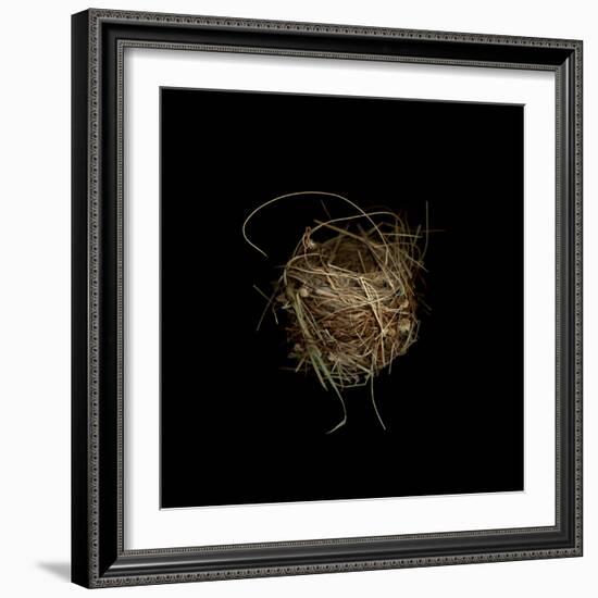 Construction 7: Birds Nest-Doris Mitsch-Framed Photographic Print