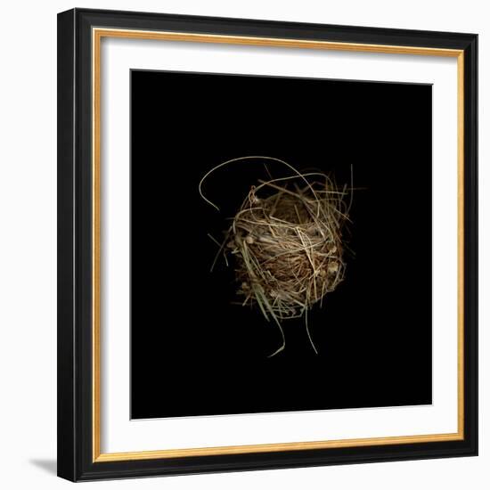 Construction 7: Birds Nest-Doris Mitsch-Framed Photographic Print