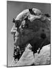 Construction of George Washington Section of Mt. Rushmore Monument-Alfred Eisenstaedt-Mounted Photographic Print