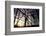 Construction-Liang Zhang-Framed Photographic Print