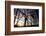 Construction-Liang Zhang-Framed Photographic Print