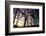 Construction-Liang Zhang-Framed Photographic Print