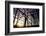 Construction-Liang Zhang-Framed Photographic Print