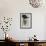 Consuelo Vanderbilt-Paul Cesar Helleu-Framed Giclee Print displayed on a wall