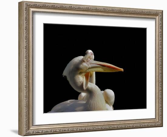 Consuming Love...-Thierry Dufour-Framed Photographic Print