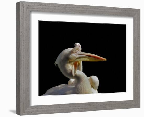 Consuming Love...-Thierry Dufour-Framed Photographic Print