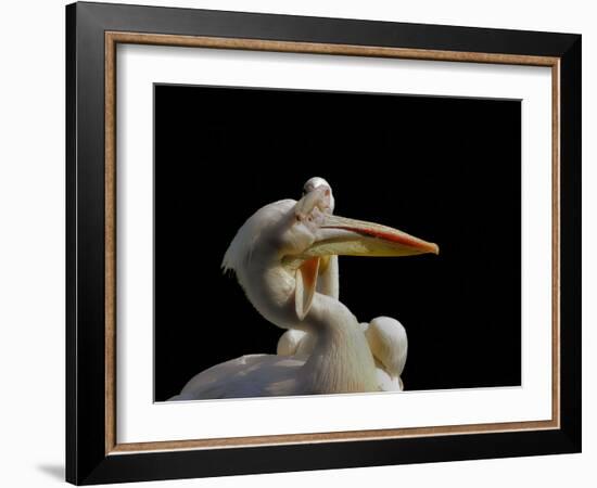 Consuming Love...-Thierry Dufour-Framed Photographic Print