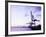 Container Cranes-Carlos Dominguez-Framed Photographic Print