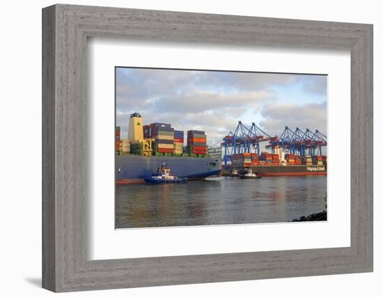 Container terminal Altenwerder, Hamburg, Germany, Europe-Hans-Peter Merten-Framed Photographic Print