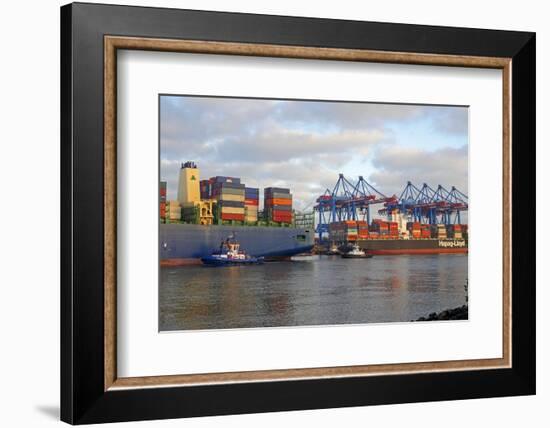 Container terminal Altenwerder, Hamburg, Germany, Europe-Hans-Peter Merten-Framed Photographic Print