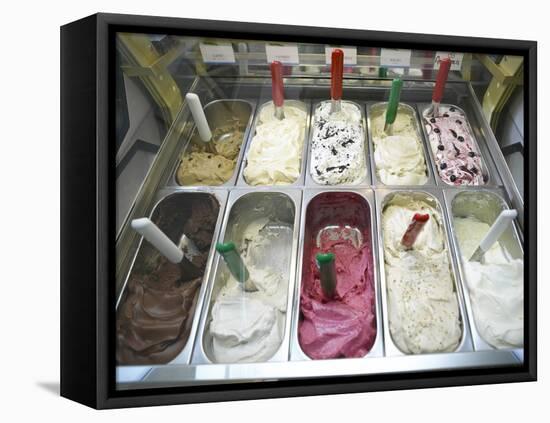 Containers of Gelato Displayed in Freezer-null-Framed Premier Image Canvas