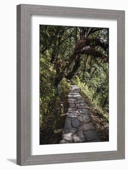 Contemplation Path-Andrew Geiger-Framed Giclee Print