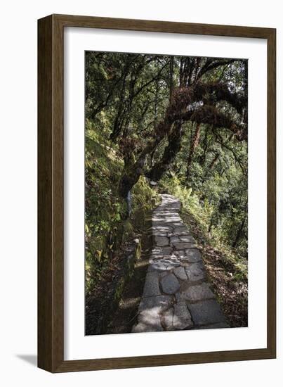 Contemplation Path-Andrew Geiger-Framed Giclee Print