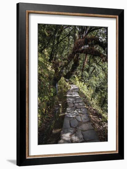 Contemplation Path-Andrew Geiger-Framed Giclee Print