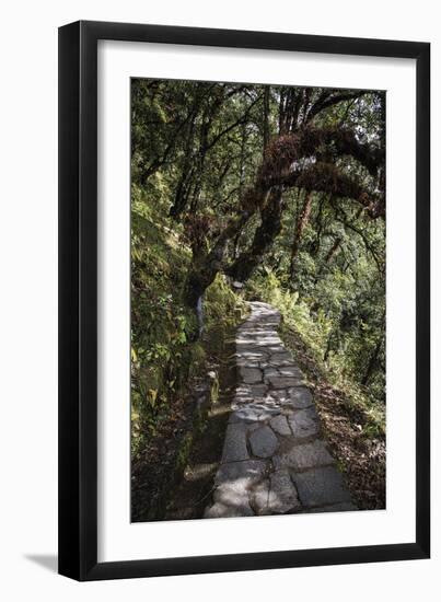 Contemplation Path-Andrew Geiger-Framed Giclee Print