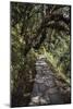Contemplation Path-Andrew Geiger-Mounted Giclee Print