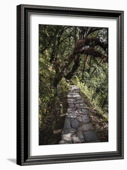 Contemplation Path-Andrew Geiger-Framed Giclee Print