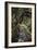 Contemplation Path-Andrew Geiger-Framed Giclee Print