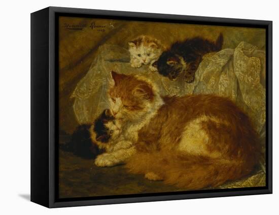 Contemplation Time-Henriette Ronner-Knip-Framed Premier Image Canvas