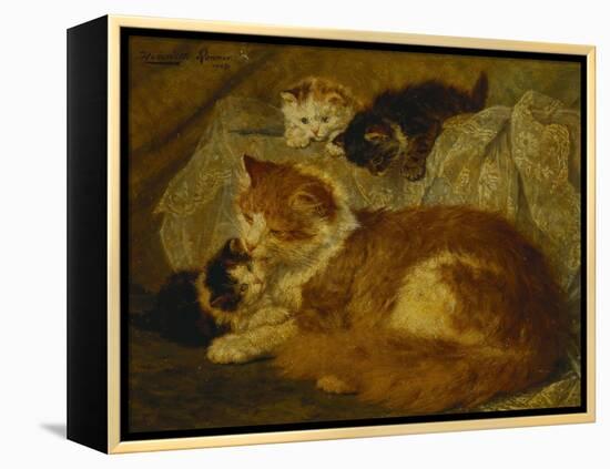 Contemplation Time-Henriette Ronner-Knip-Framed Premier Image Canvas