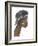 Contemplation-Gerry Baptist-Framed Giclee Print