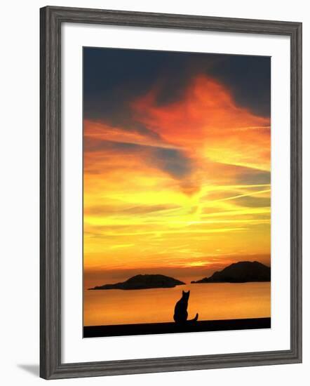 Contemplation-Jon Bertelli-Framed Photographic Print