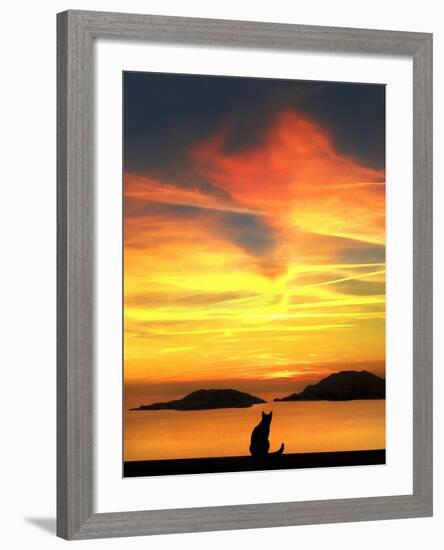 Contemplation-Jon Bertelli-Framed Photographic Print