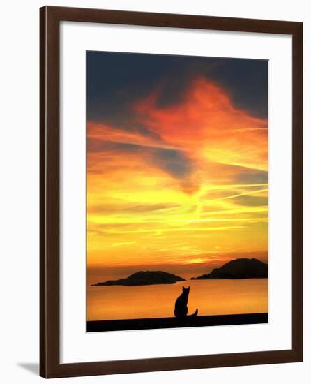 Contemplation-Jon Bertelli-Framed Photographic Print