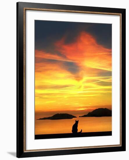 Contemplation-Jon Bertelli-Framed Photographic Print