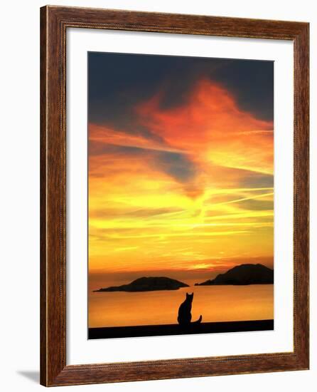 Contemplation-Jon Bertelli-Framed Photographic Print