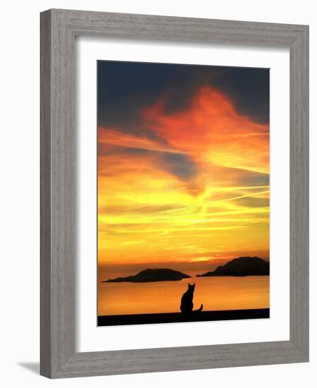 Contemplation-Jon Bertelli-Framed Photographic Print