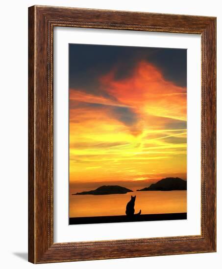 Contemplation-Jon Bertelli-Framed Photographic Print