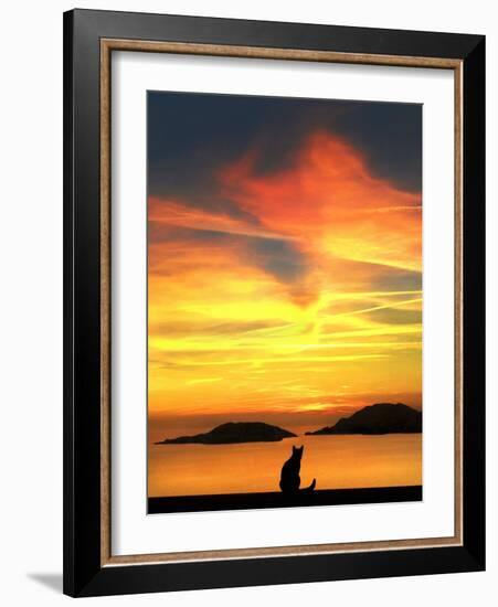 Contemplation-Jon Bertelli-Framed Photographic Print